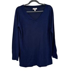 Belle Kim Gravel Womens V Neck Sweater Long Sleeve Knit Marled Blue Medium